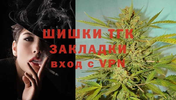 первитин Богородицк