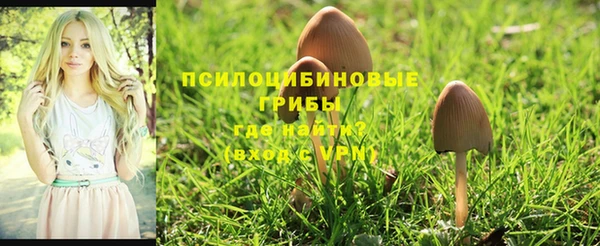 mdpv Богородск