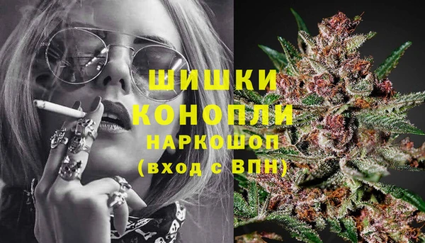 apvp Богданович