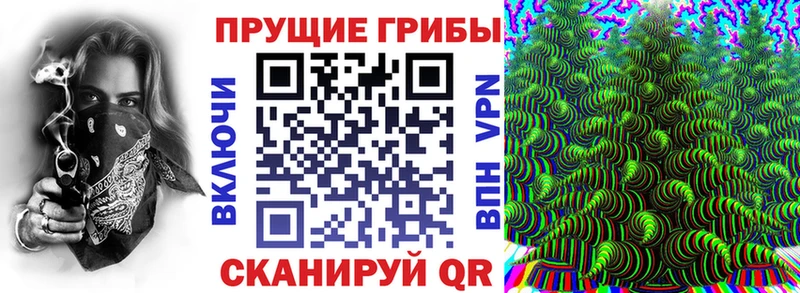 Галлюциногенные грибы Psilocybine cubensis  Тула 